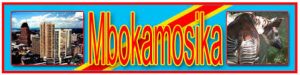 Logo du journal